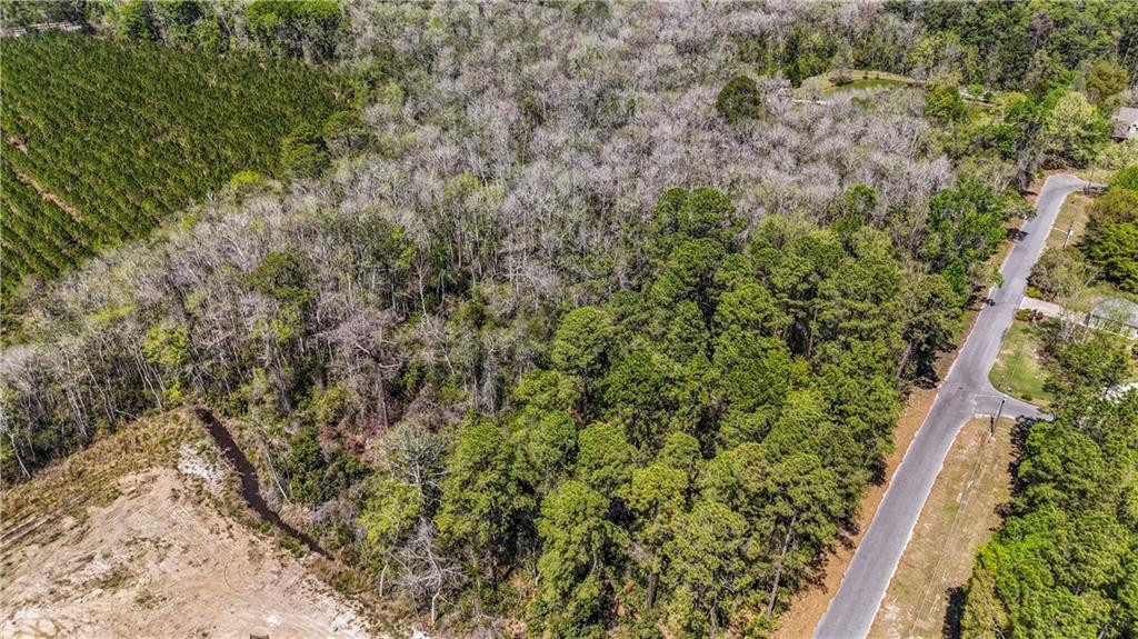 Land in Jesup 3