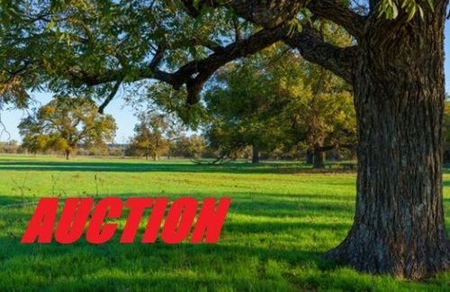 320 Iroquois Trl, Weatherford, TX, 76087-8593 | Card Image