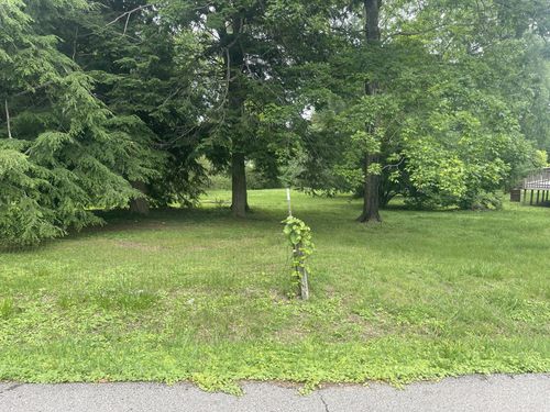 935 Circle Dr, Clarksville, TN, 37043 | Card Image