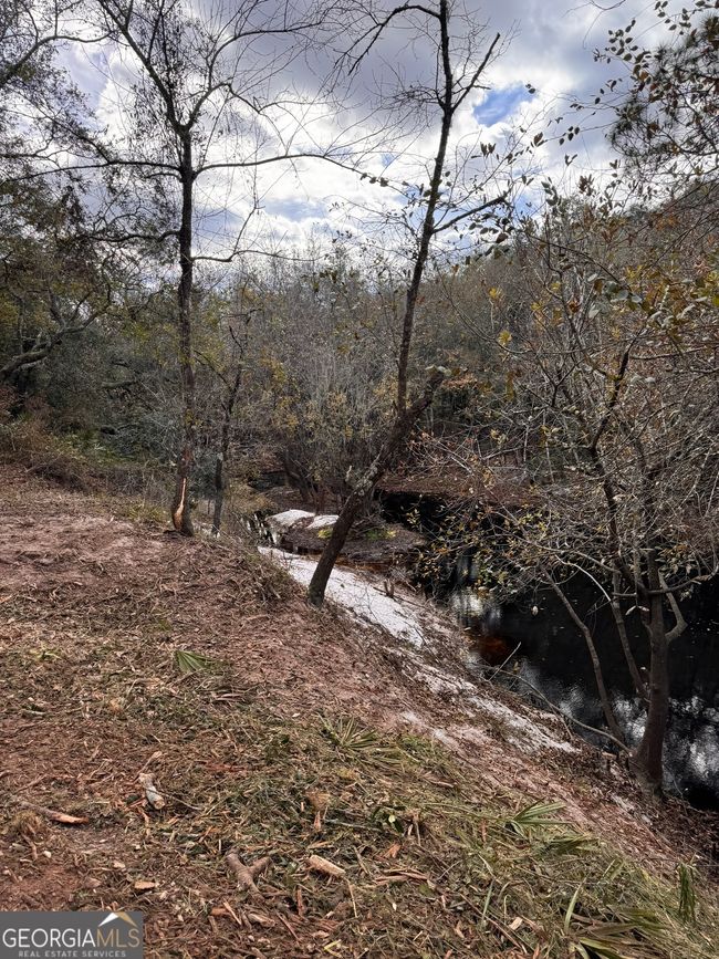 0 Highway 185, Home with 0 bedrooms, 0 bathrooms and null parking in Saint George GA | Image 58