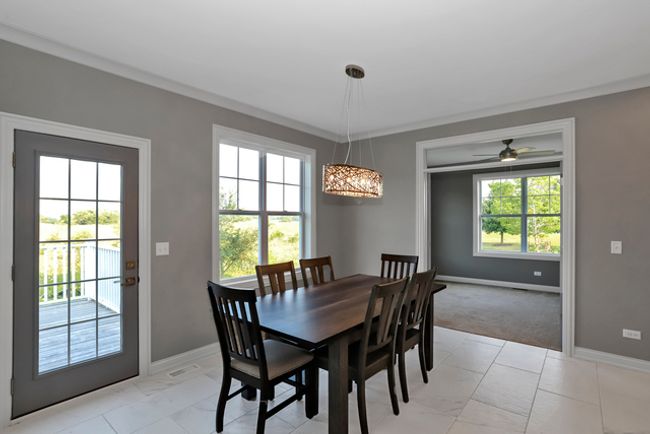6924 Cambria Cv, House other with 4 bedrooms, 3 bathrooms and 2 parking in Village Of Lakewood IL | Image 14