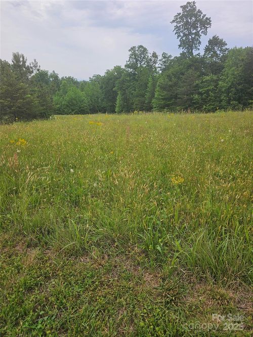 21-0000 Baber Forest Rd, Rutherfordton, NC, 28139 | Card Image