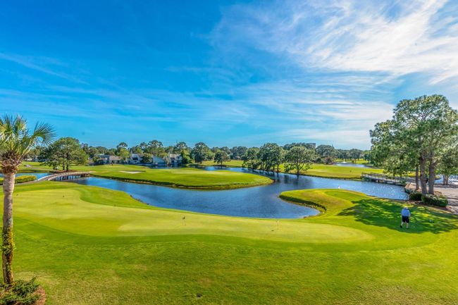 Links Golf Course | Image 53