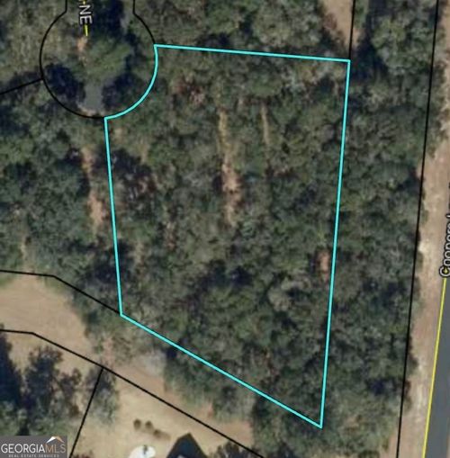 0 Blackberry Ln Ne, Townsend, GA, 31331 | Card Image