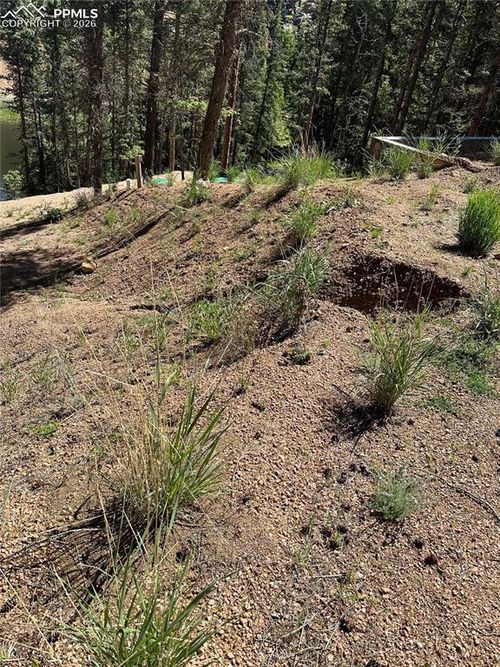 67 Gerka Ln, Florissant, CO, 80816-8001 | Card Image