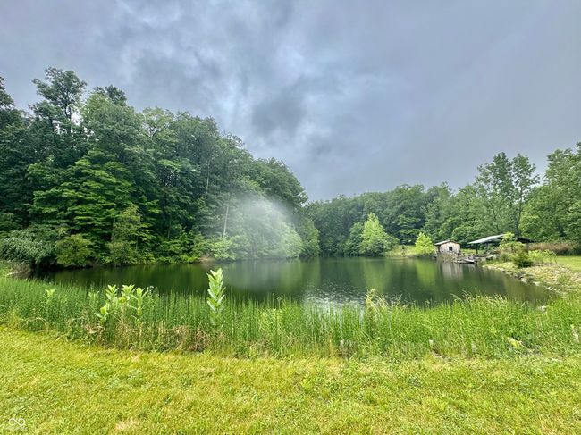 water view with a heavily wooded area | Image 27