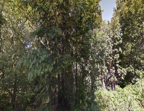 258 Burns Ct, Whitethorn, CA, 95589-9019 | Card Image