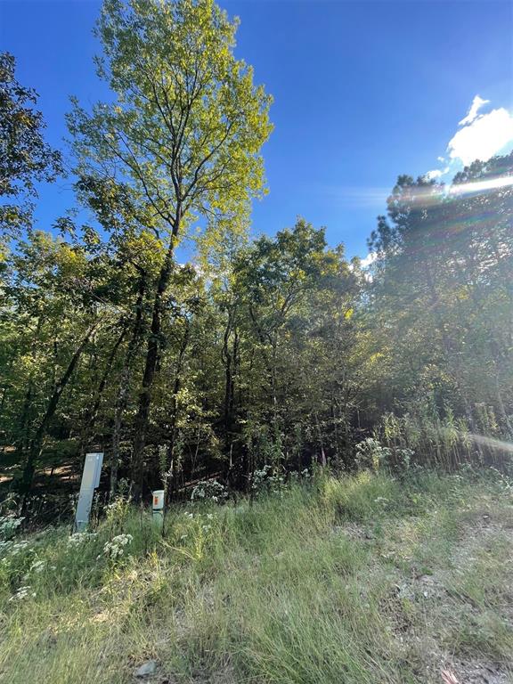 Land in Broken Bow 4