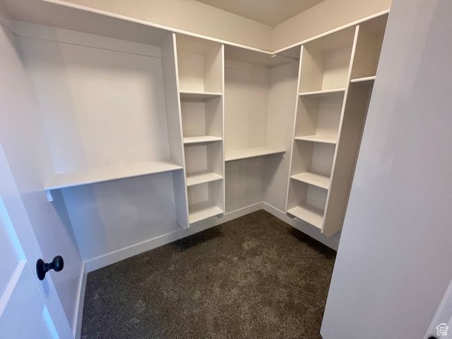 Walk in closet featuring dark carpet | Image 16