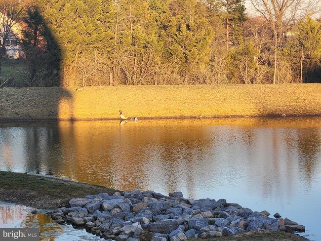 121 Sovereign Ct, House other with 4 bedrooms, 4 bathrooms and null parking in WINCHESTER VA | Image 63