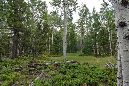 205 Timberline Drive, Guffey, CO, 80820 | Card Image