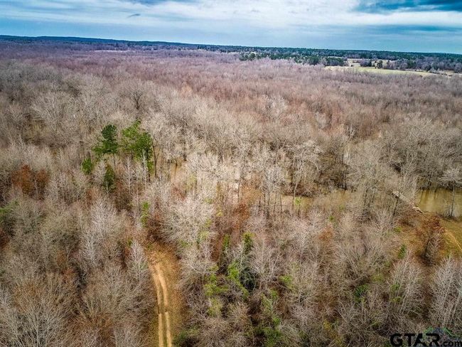 350 AC Cr 1322, Home with 0 bedrooms, 0 bathrooms and null parking in Reklaw TX | Image 17