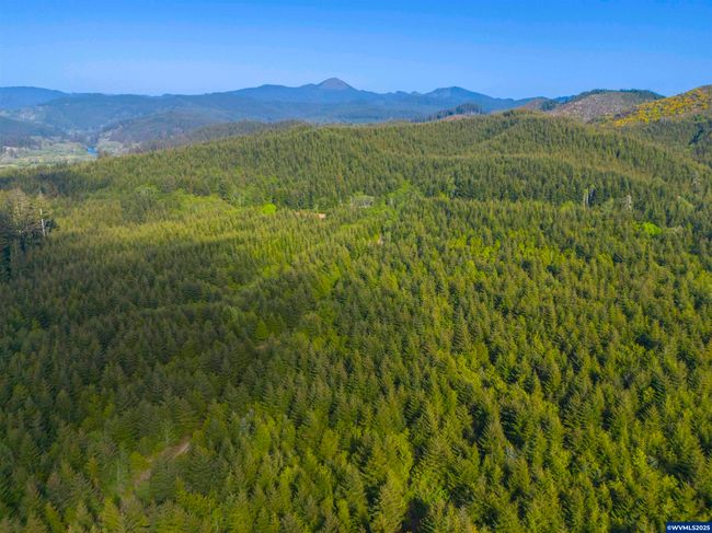0 Elmer Miller Rd, Home with 0 bedrooms, 0 bathrooms and null parking in Siletz OR | Image 5