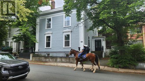 3a Forest Rd, St. John's, NL, A1C2B8 | Card Image