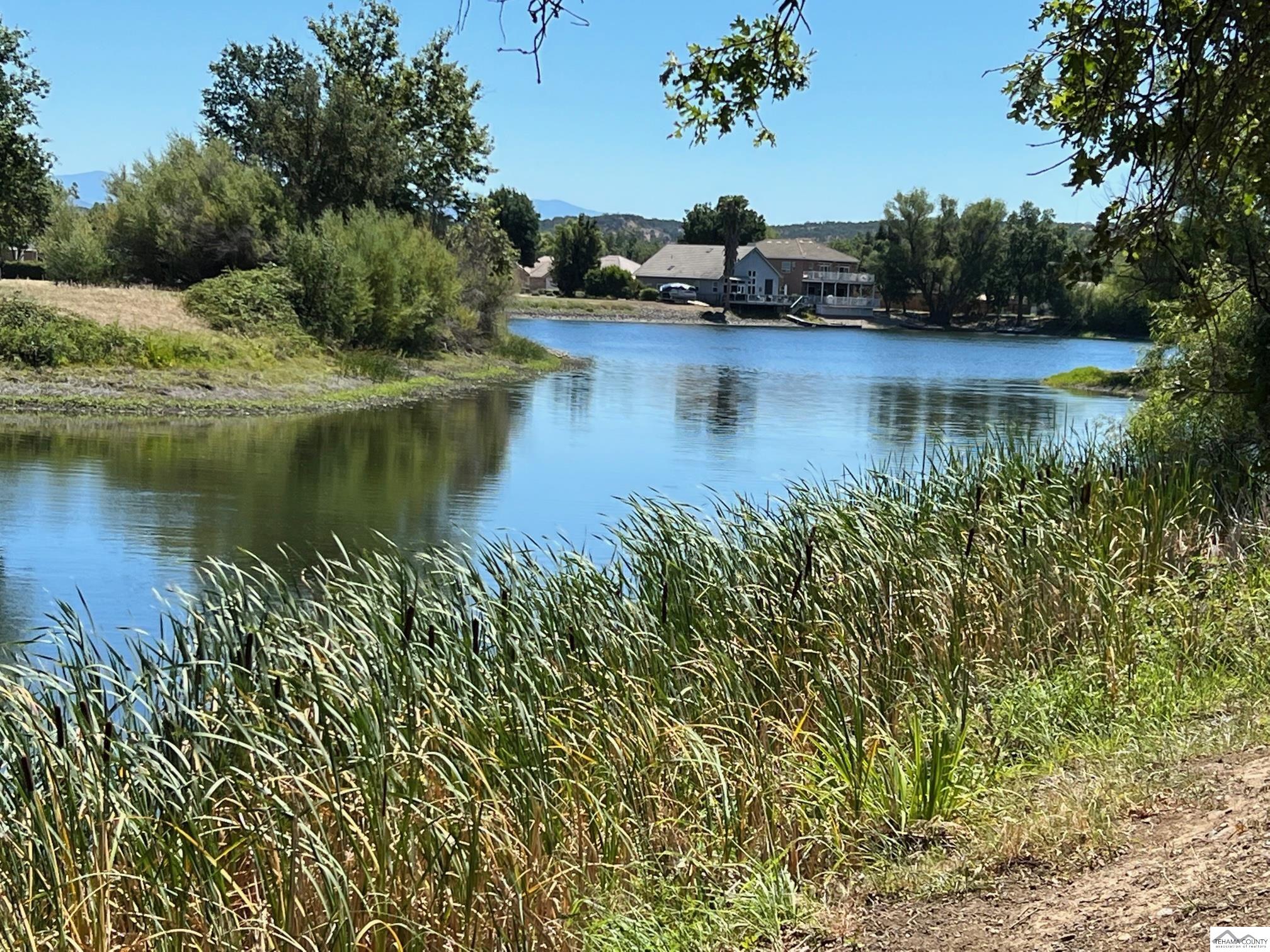 Land in Cottonwood 5