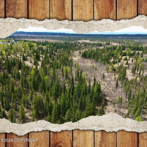 25645 Stinkbug St, Anchor Point, AK, 99556-9794 | Card Image