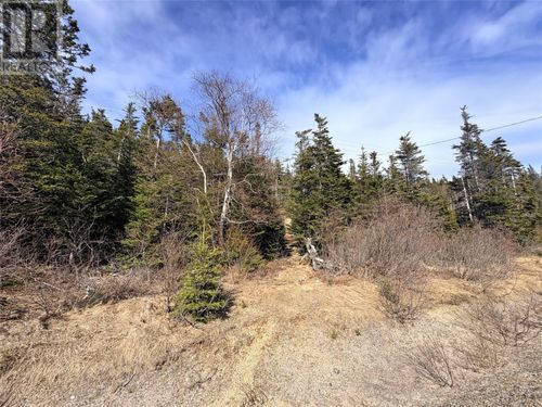 0 Random Island Road, Weybridge, NL, A5A3A1 | Card Image