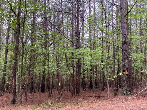 0 Mull Drive, mineral bluff, GA, 30559 | Card Image