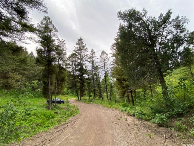View of road | Image 71