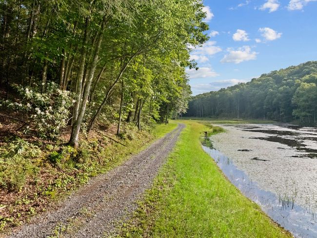 1071 Lodge Dr, Home with 4 bedrooms, 2 bathrooms and null parking in Bastian VA | Image 58