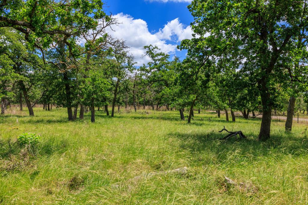 Farm in Fredericksburg