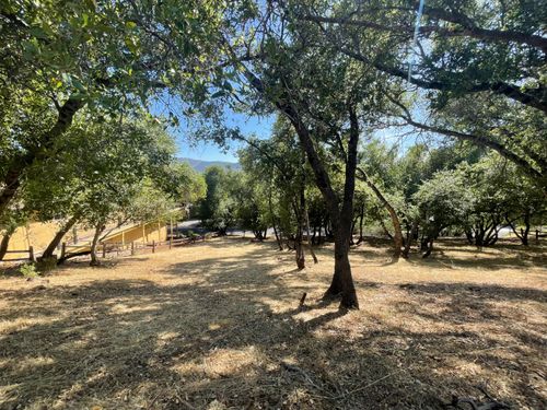 295 Mary Belle Way, Angels Camp, CA, 95222 | Card Image