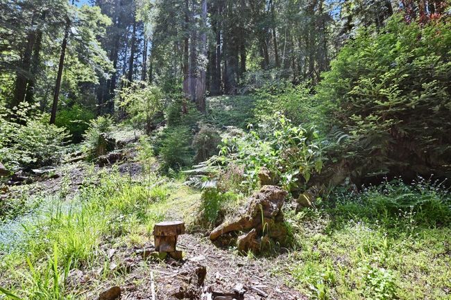 21713 Starrett Hill Dr, House other with 2 bedrooms, 2 bathrooms and 2 parking in Monte Rio CA | Image 45