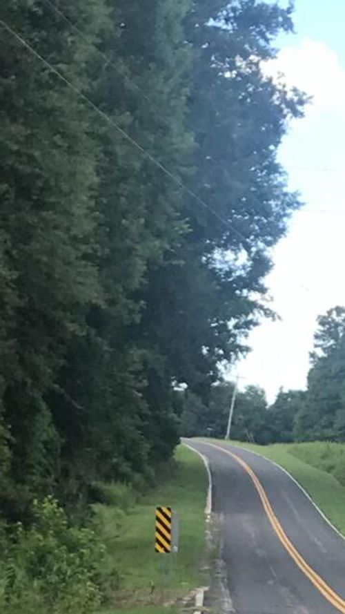 Tbd Izlar St, Blackville, SC, 29817 | Card Image