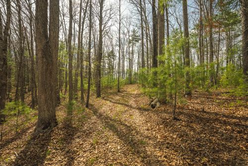 TBD Whip-Poor Will Hollow Rd, Warm Springs, VA, 24484 | Card Image