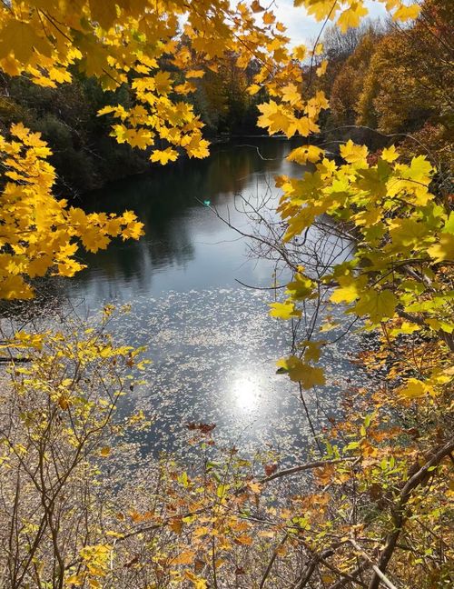 1 Old County Road, Rockland, ME, 04841 | Card Image