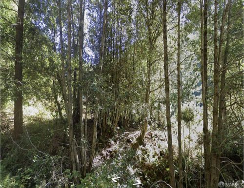 1504 Telegraph Creek Rd, Whitethorn, CA, 95589 | Card Image