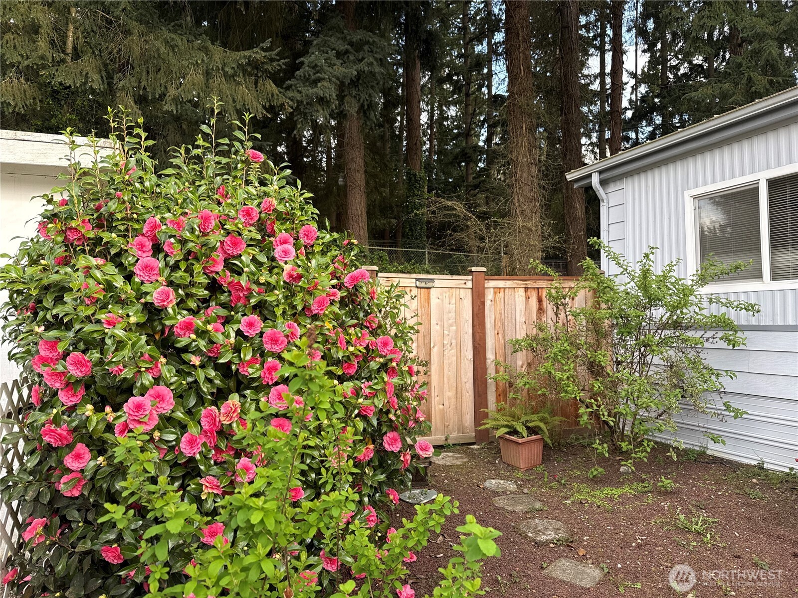 Residential in Puyallup 4