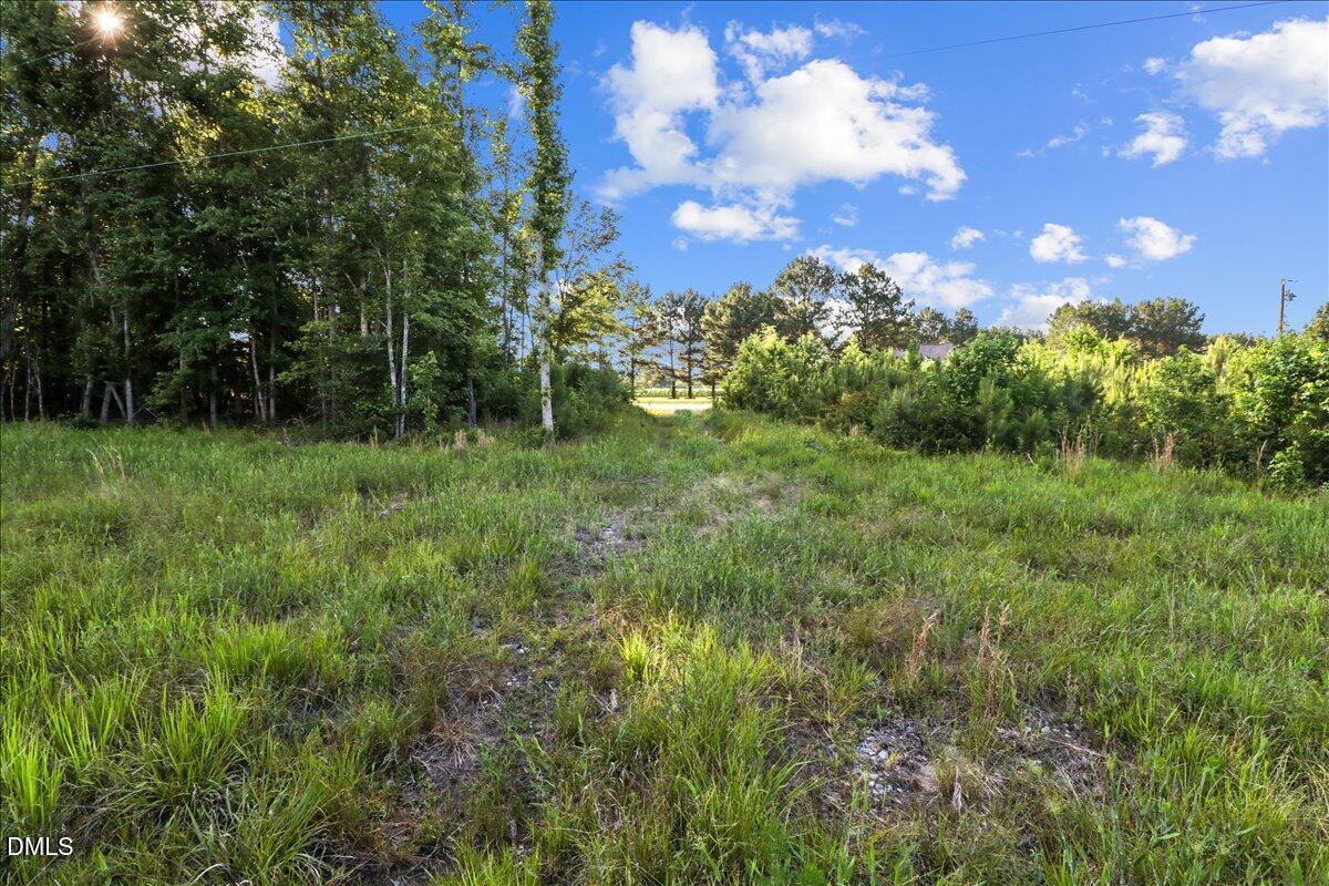 Land in Kenly 3