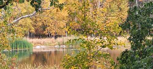 25864 11th St W, Zimmerman, MN, 55398-8536 | Card Image