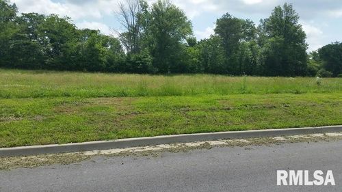 Lot 2 Financial Park, Carbondale, IL, 62902 | Card Image