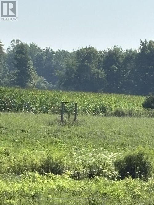 4688 Godby Rd, Bayham, ON, N0J1T0 | Card Image