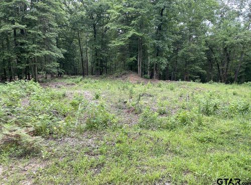 1688 County Road 1597, Avinger, TX, 75630-2858 | Card Image