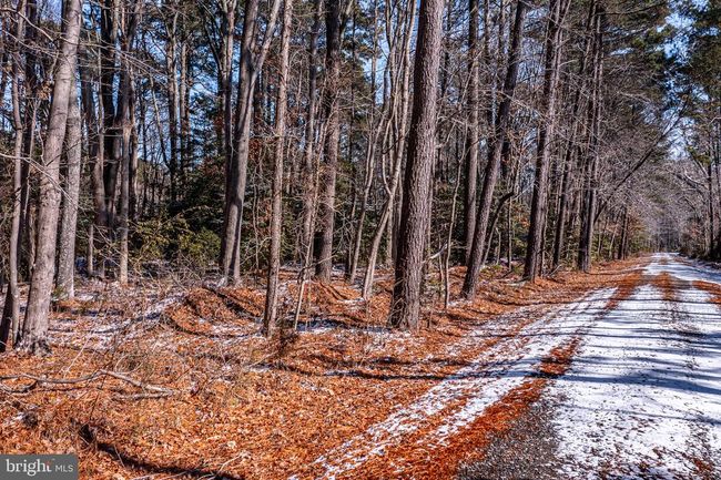 0 Georges Cove Dr, Home with 0 bedrooms, 0 bathrooms and null parking in White Stone VA | Image 7