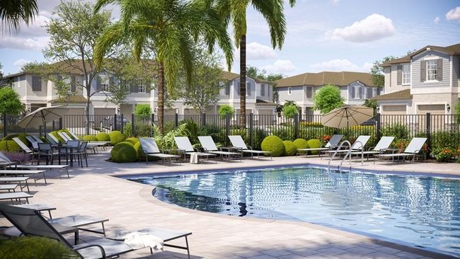 36264 Risa Michele St, Townhouse with 2 bedrooms, 3 bathrooms and null parking in ZEPHYRHILLS FL | Image 23