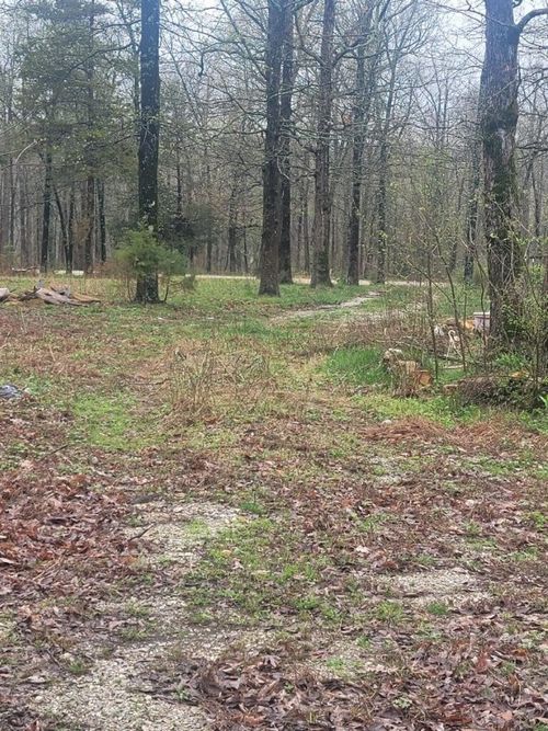 TBD Misenheimer Road, Mountain View, AR, 72560 | Card Image