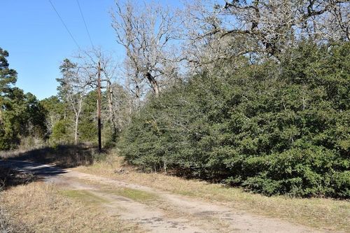 8900 Fm 229, Grapeland, TX, 75844-8117 | Card Image
