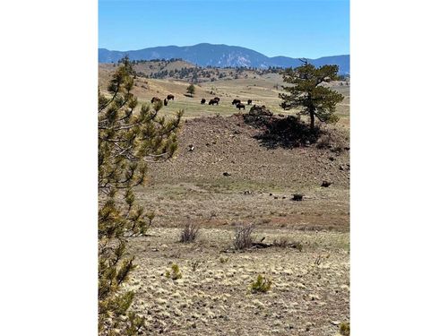 391 Gulch Rd, HARTSEL, CO, 80449 | Card Image