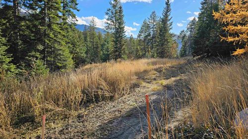 b-717 B Finley Gulch Rd, Colville, WA, 99114-9102 | Card Image