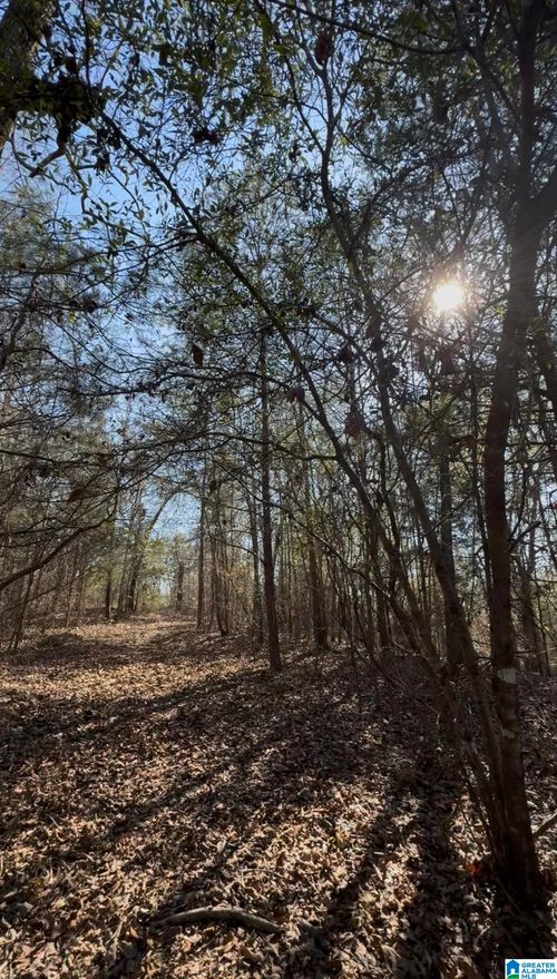 10-10 Rockyview Rd, WEST BLOCTON, AL, 35184 | Card Image