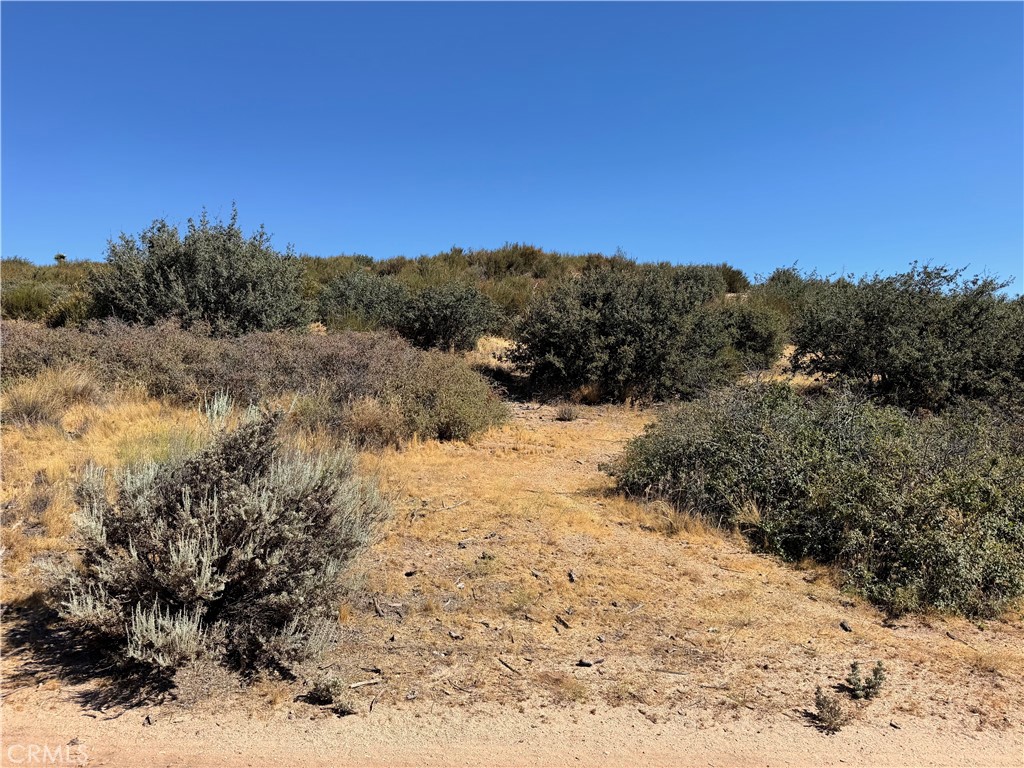 Land in Oak Hills 2