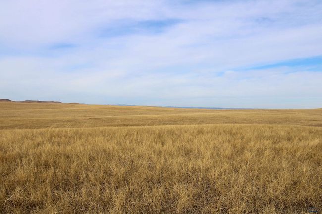 Parcel #42 Cisco Ln, Home with 0 bedrooms, 0 bathrooms and null parking in Caputa SD | Image 10