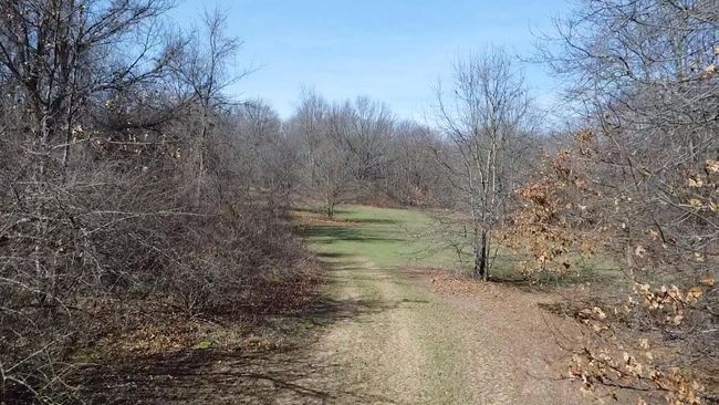 12100 Woodland Trl, Home with 0 bedrooms, 0 bathrooms and null parking in Davisburg MI | Image 15