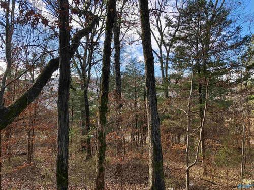 LOT 0 Bettinger Mountain Road, Union Grove, AL, 35175 | Card Image