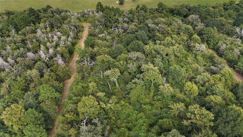 29028 Sandpiper Ln, Hempstead, TX, 77445 | Card Image