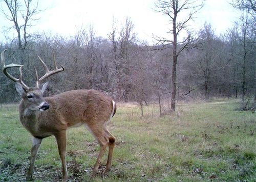 141 Sw County Road 2349, Richland, TX, 76681-4413 | Card Image